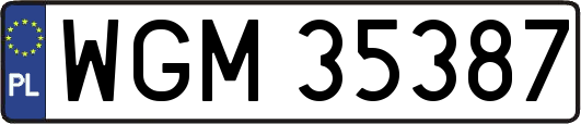 WGM35387