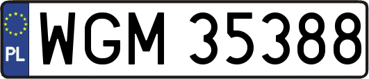 WGM35388