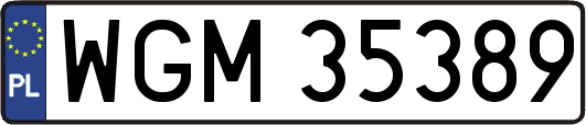 WGM35389