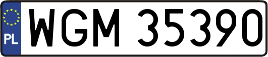 WGM35390