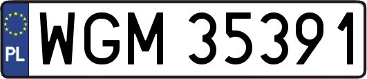 WGM35391