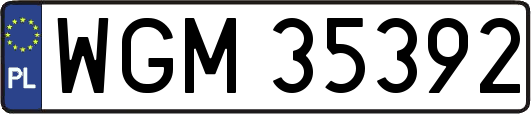 WGM35392