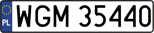WGM35440