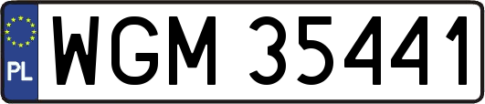 WGM35441