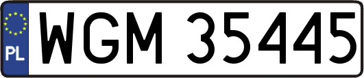 WGM35445