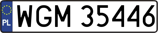 WGM35446