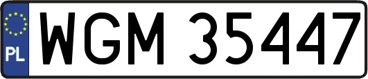 WGM35447