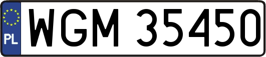 WGM35450