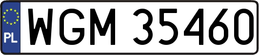 WGM35460