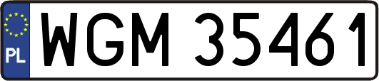 WGM35461