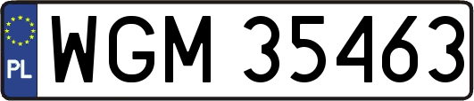 WGM35463