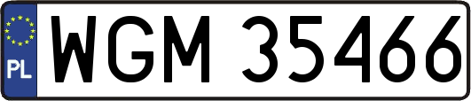 WGM35466