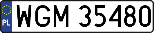 WGM35480