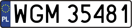 WGM35481