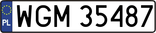 WGM35487