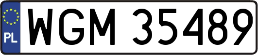WGM35489
