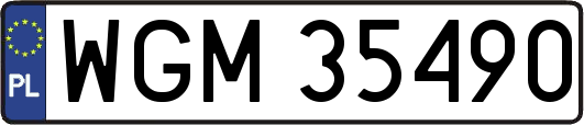 WGM35490
