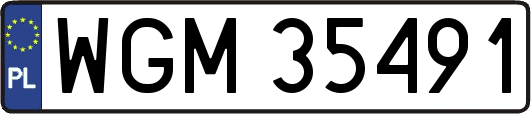 WGM35491