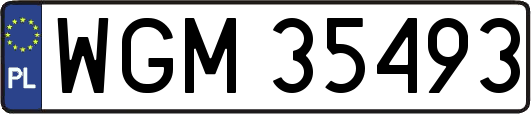 WGM35493