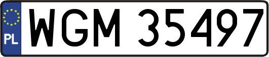 WGM35497