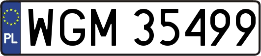 WGM35499