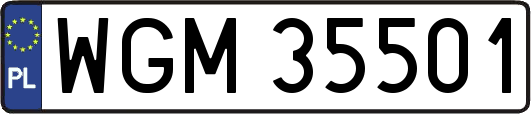 WGM35501
