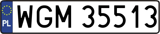 WGM35513