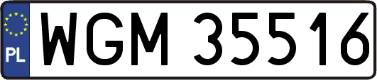 WGM35516