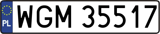 WGM35517