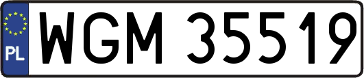 WGM35519