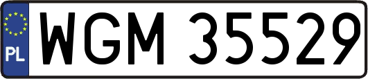 WGM35529