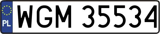 WGM35534