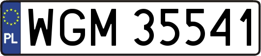 WGM35541