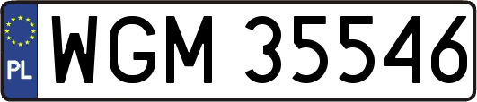 WGM35546