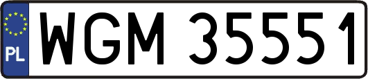 WGM35551