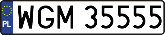 WGM35555