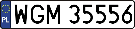 WGM35556