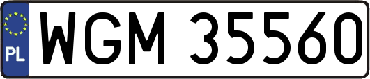 WGM35560