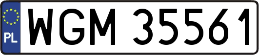 WGM35561