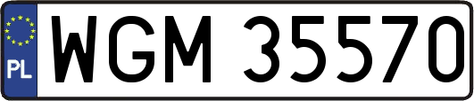 WGM35570