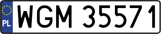 WGM35571