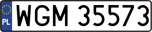 WGM35573