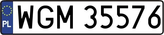 WGM35576