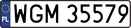 WGM35579