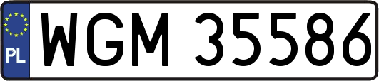 WGM35586