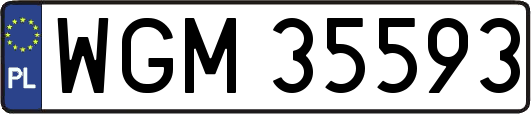 WGM35593