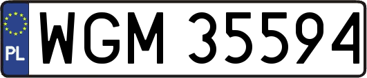 WGM35594