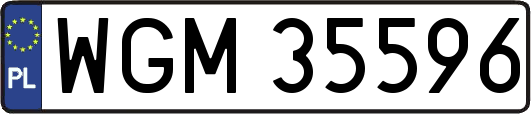 WGM35596