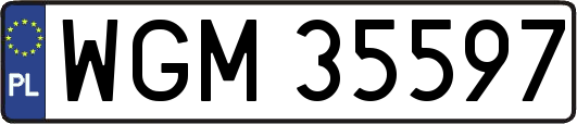 WGM35597