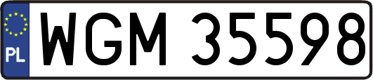 WGM35598